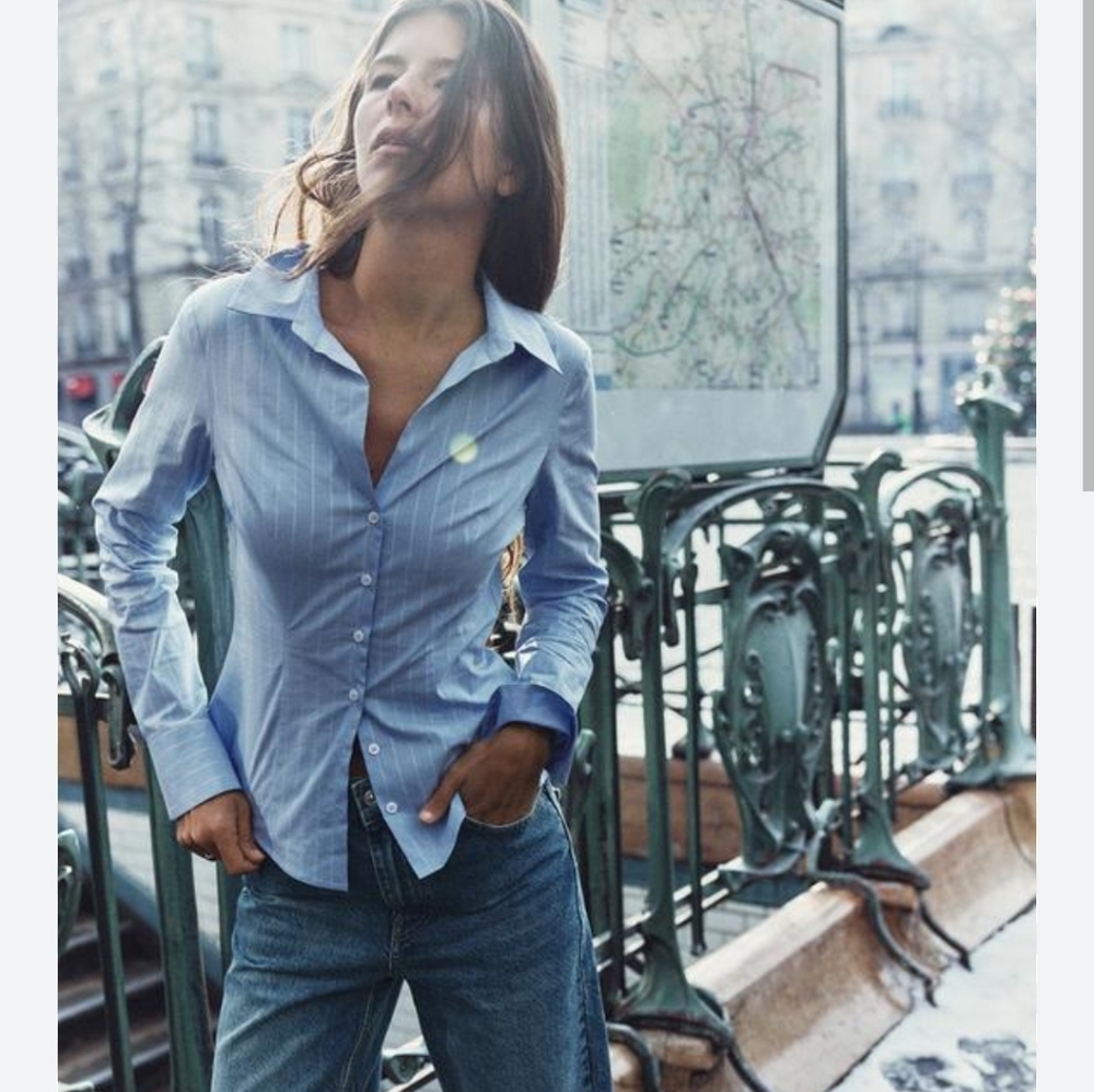 Zara stripped metallic thread fitted shirt